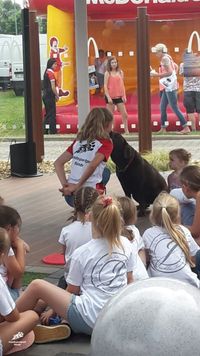 Trick Dog Seminare Svea Lehmann Hundesportpark B&uuml;nde Nicole Gudd152