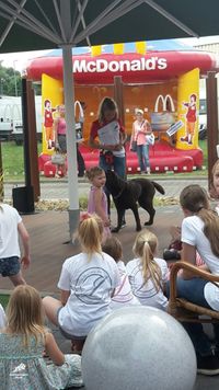 Trick Dog Seminare Svea Lehmann Hundesportpark B&uuml;nde Nicole Gudd164